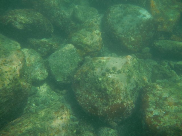 dscn1607